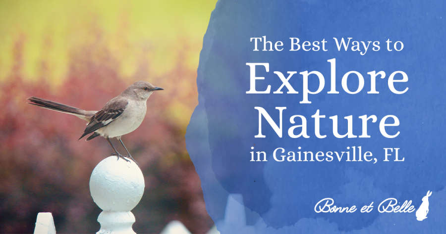 The-Best-Ways-to-explore-nature-in-gainesville-fl